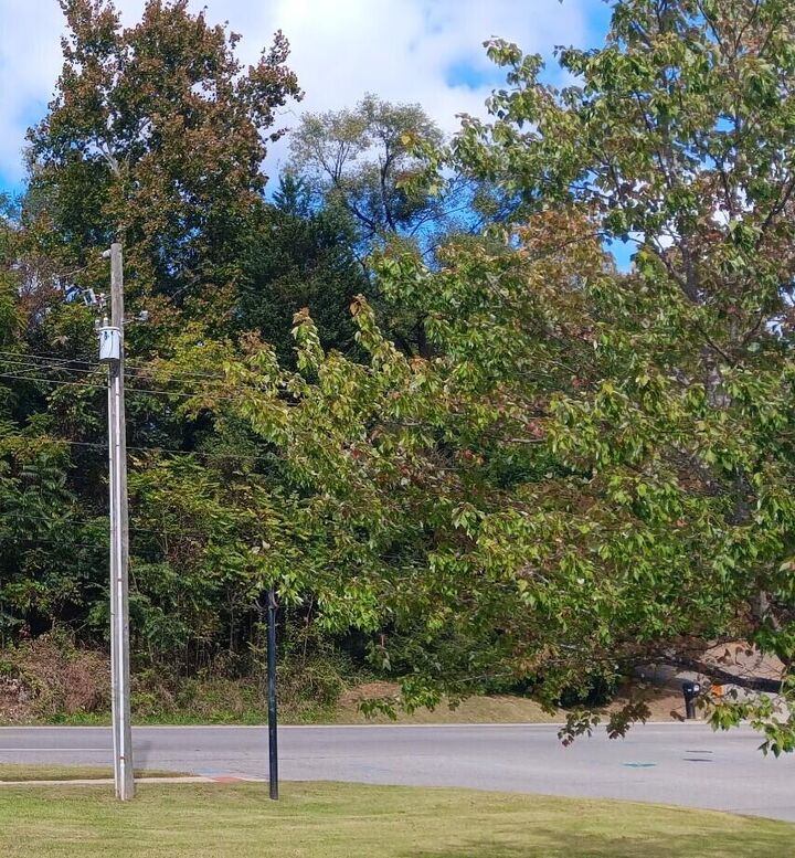 Property Photo: 0 Brandon Ave SW VA 24015