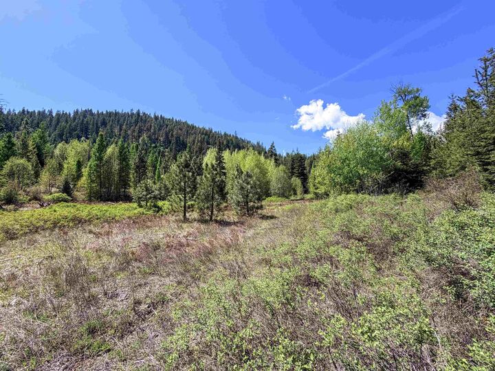 Property Photo:  3499-Tbd Waitts Lake South Rd  WA 99181 