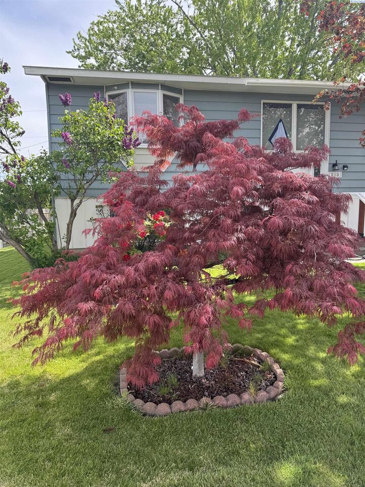 Property Photo:  219 S Olson St  WA 99336 