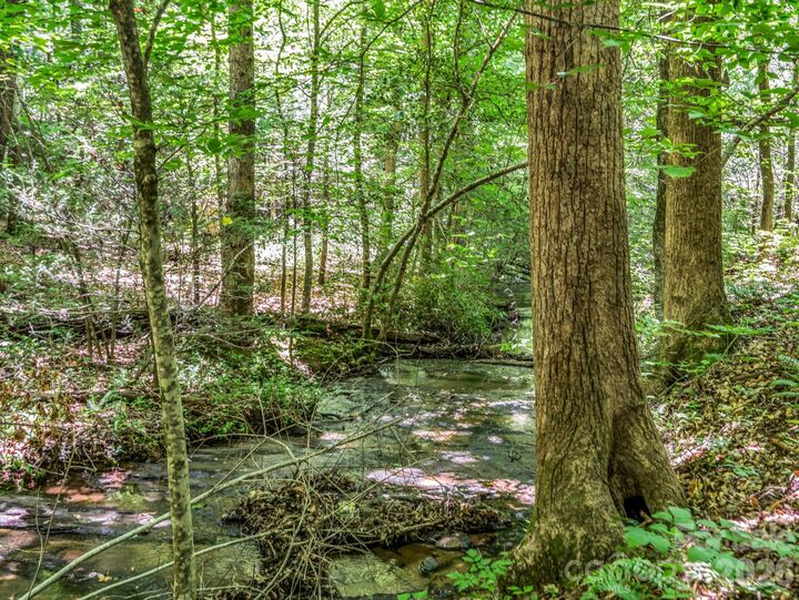 Property Photo:  670 Cedar Creek Road  NC 28746 