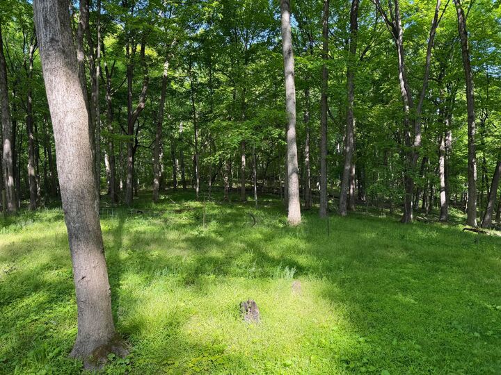 Property Photo:  13807 Marshall Road  OH 43149 