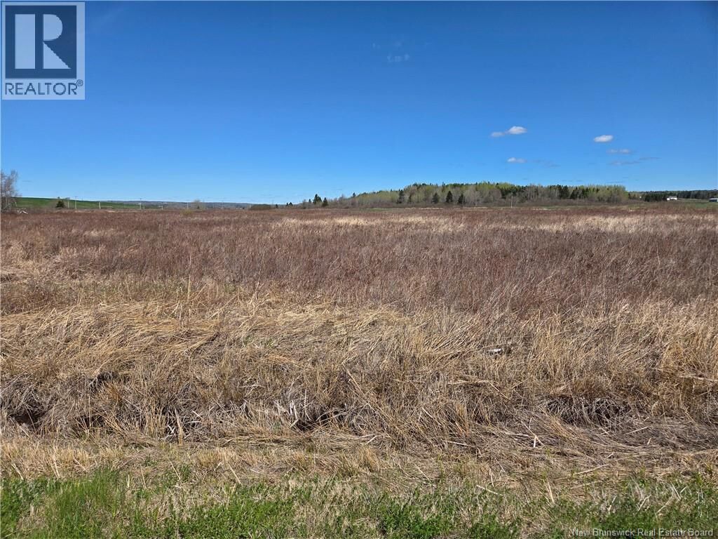 Property Photo:  Lot Anderson Mill Road  NB E4K 3Z2 