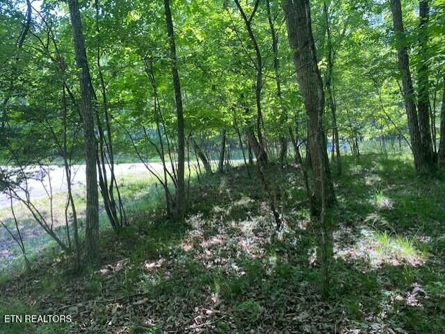 Property Photo:  11 Rolling Green Circle  TN 38558 