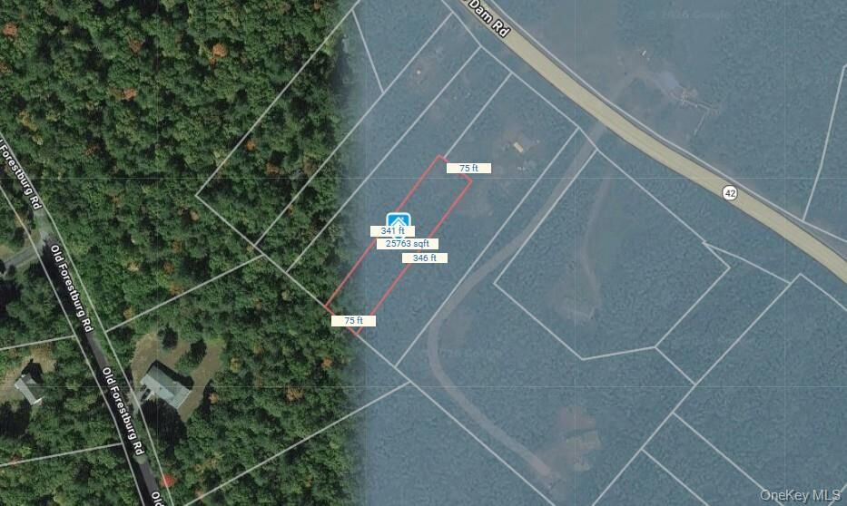 Property Photo:  973 State Route 42  NY 12780 