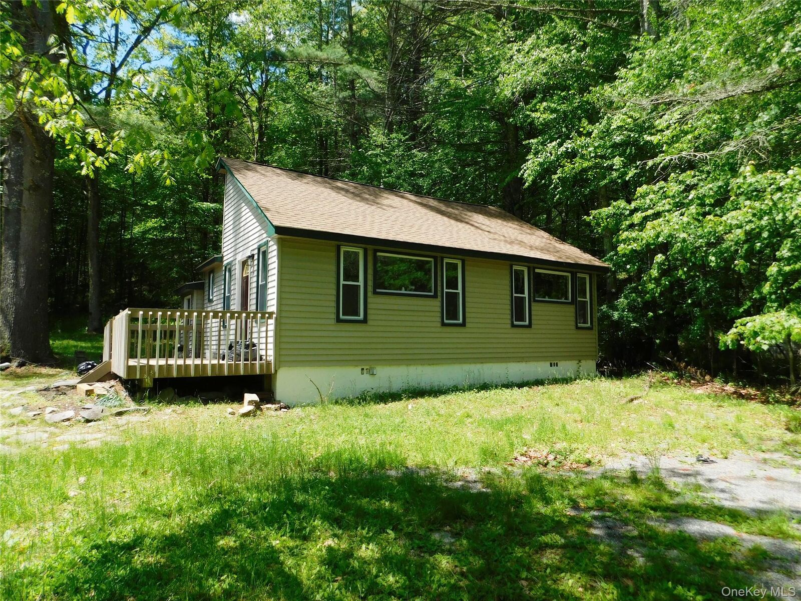 Property Photo:  973 State Route 42  NY 12780 