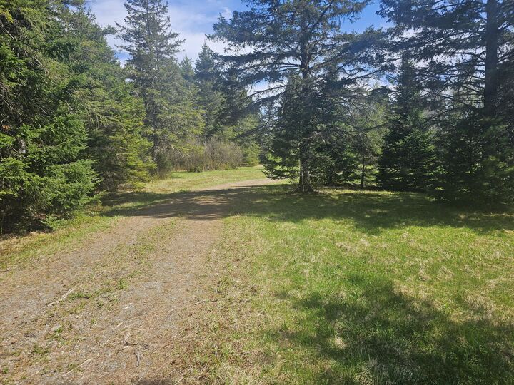 Property Photo:  631 Crystal Road  ME 04747 