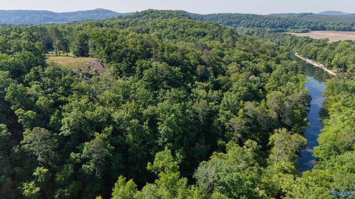 Property Photo:  1450 County Road 137  AL 35959 