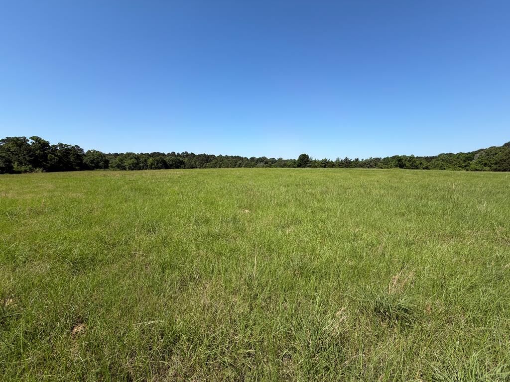 Property Photo:  2199 Fm 1733  TX 75847 