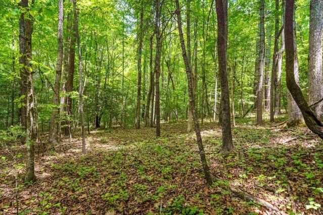 Property Photo:  Lot 32 Oceola Drive  GA 30540 