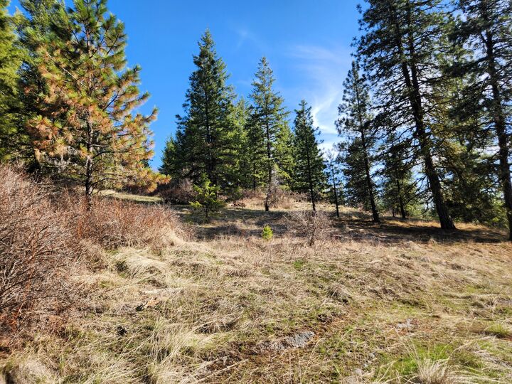 Property Photo:  4021 Bissell Rd  WA 99137 