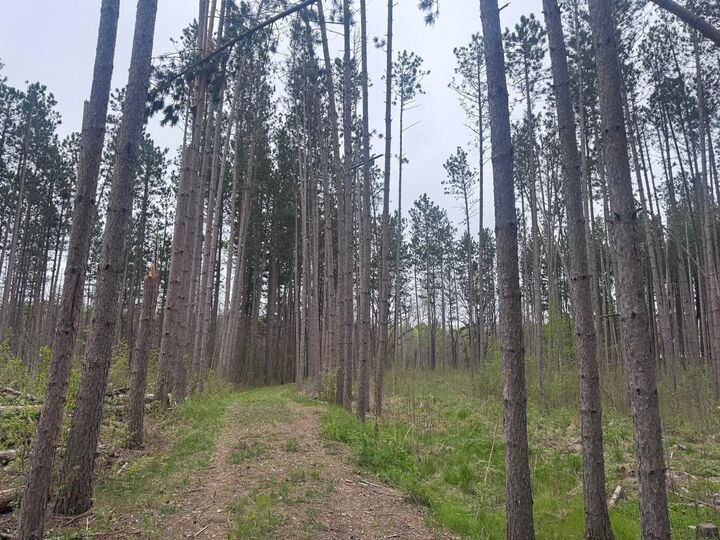 Property Photo: 18831 124th Lane MN 56350