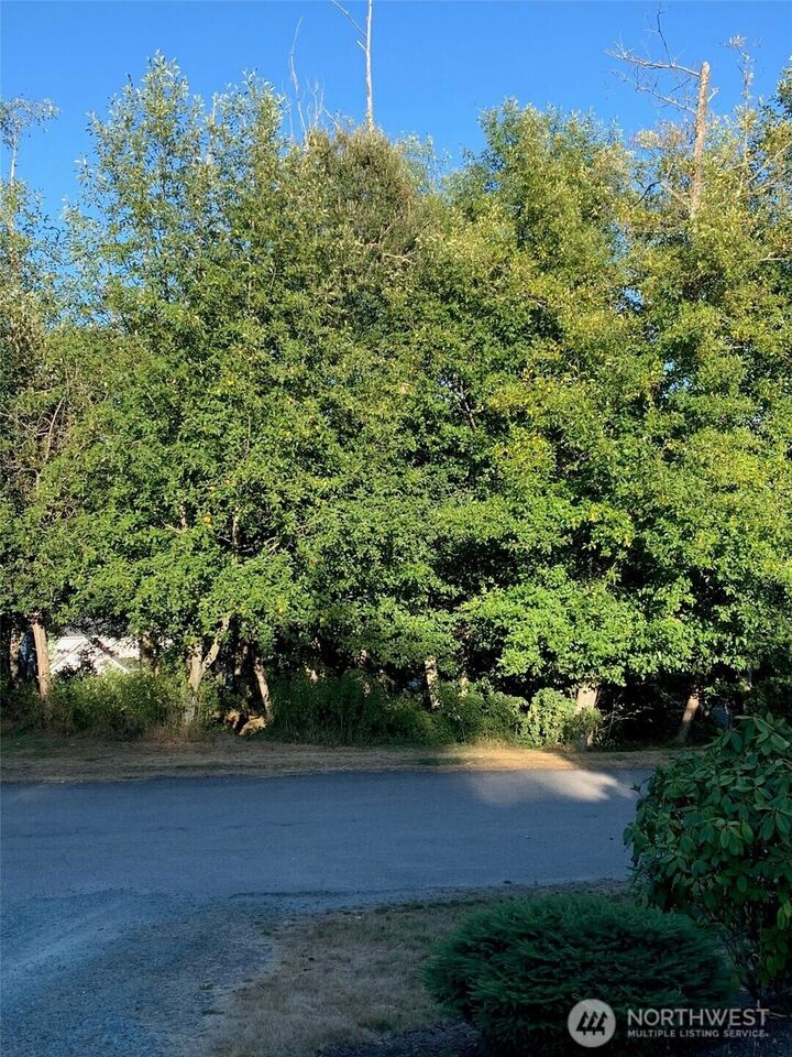 Property Photo:  0 Xxx  Brittany  WA 98249 