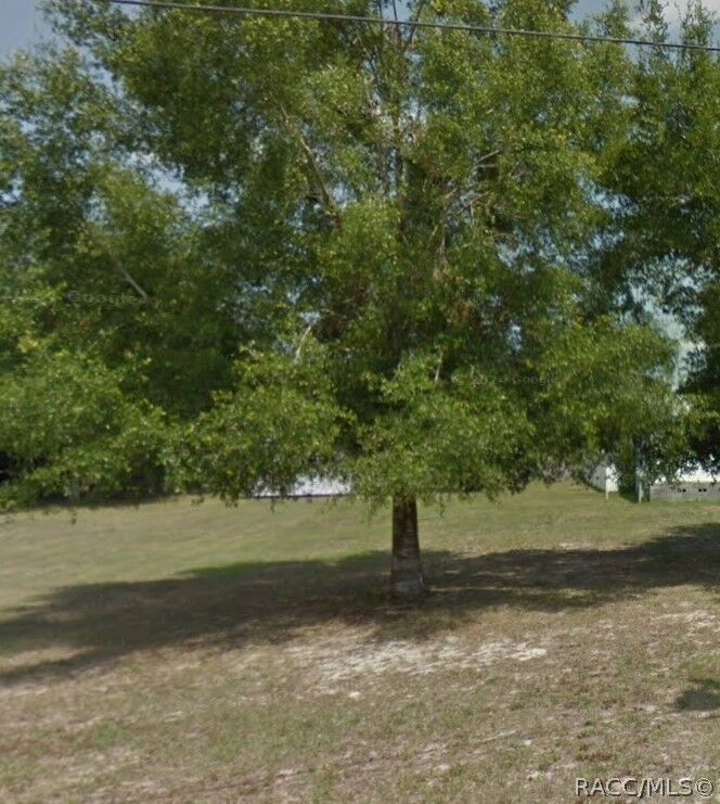 Property Photo:  8445 S Linden Point  FL 34436 