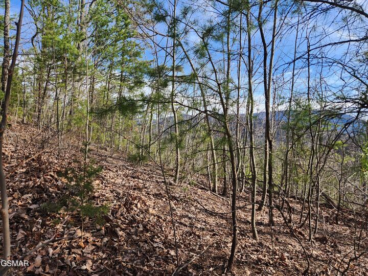 Property Photo:  Lot 46 Feld Wynde Close Way  TN 37862 