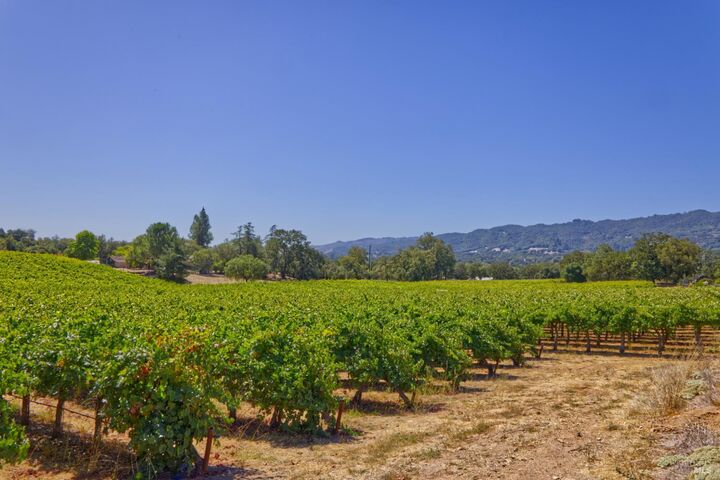 Property Photo:  15881 Highway 12  CA 95476 