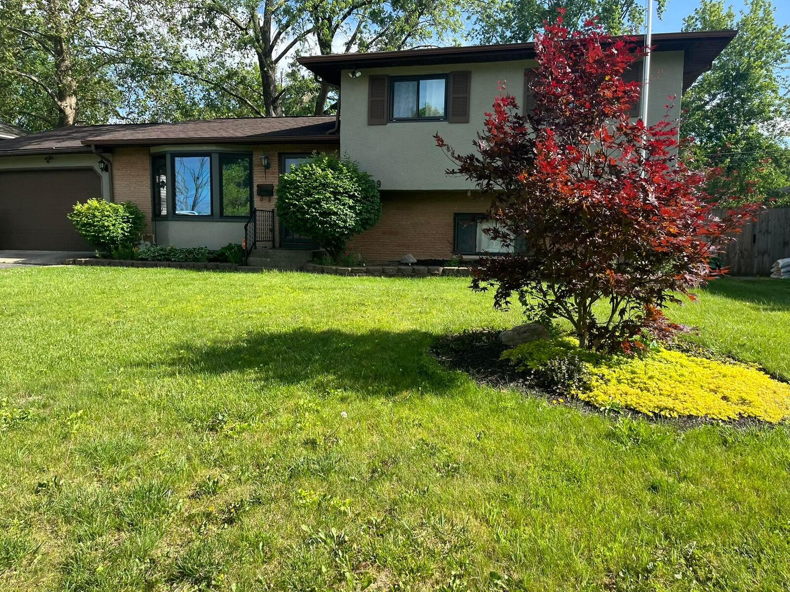 Property Photo:  1289 Yellowwood Drive  OH 43229 
