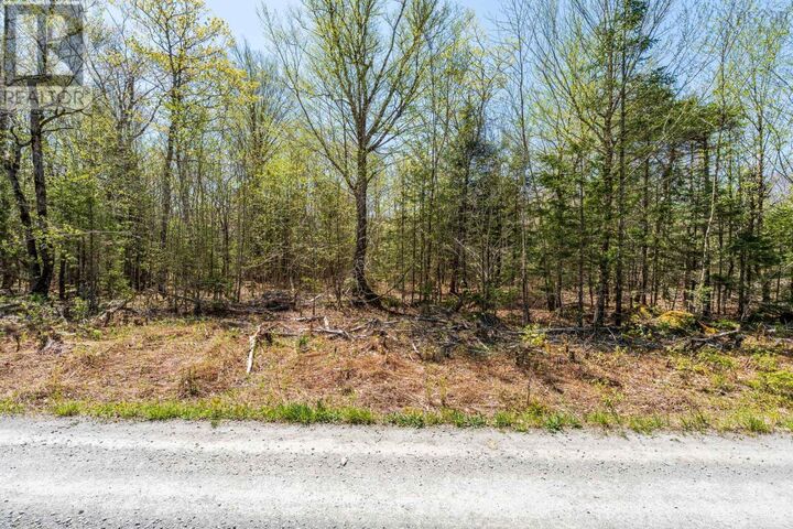 Property Photo:  Lot 1 Chemin Theriault Point Road  NS B0W 1M0 