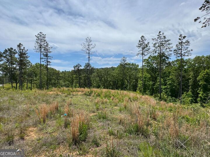 Property Photo:  Lot 243 Spear Point Drive  GA 30175 