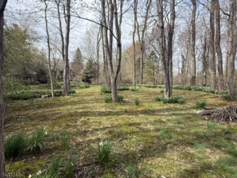 Property Photo: 691 Ridgedale Ave NJ 07936