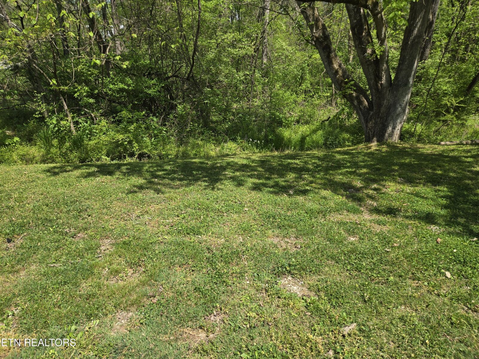 Property Photo:  564 Keylon Drive  TN 37748 