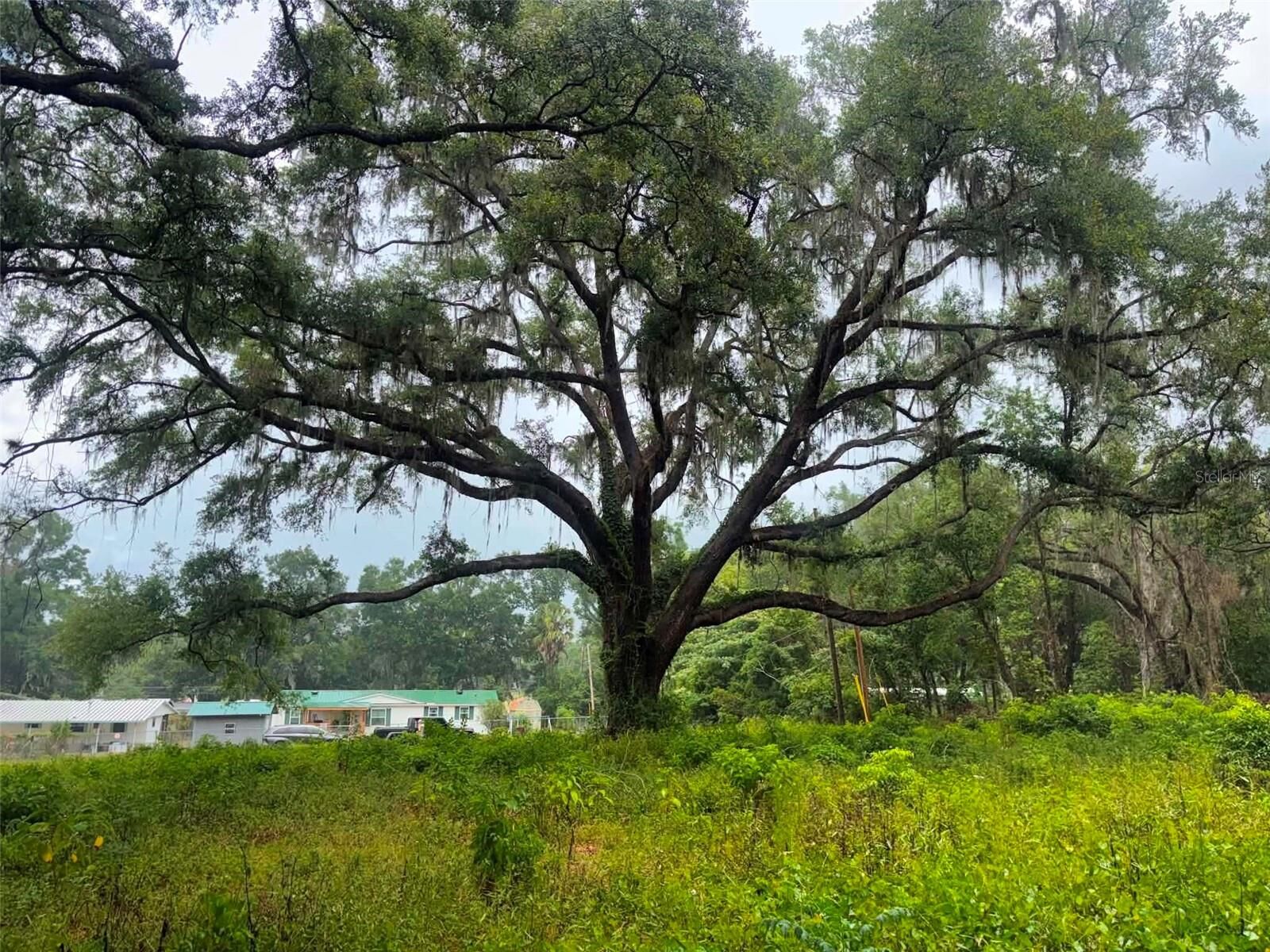 Property Photo:  6360 SE 145th Place  FL 34491 