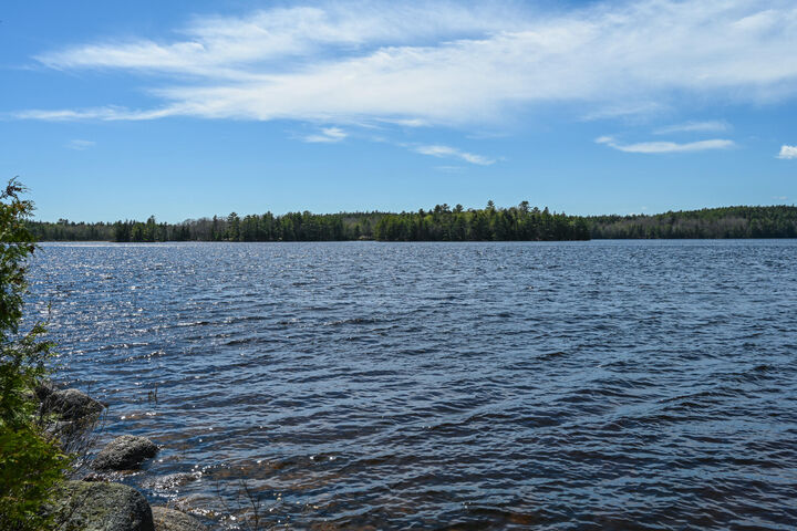 Property Photo:  101 Loon Drive  ME 04664 