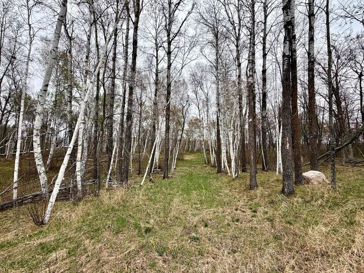 Property Photo:  L17b1 Acorn Ridge Road NW  MN 56601 