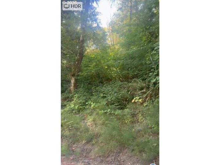 Property Photo:  00 Adj 82050 Red Bluff Rd  OR 97138 