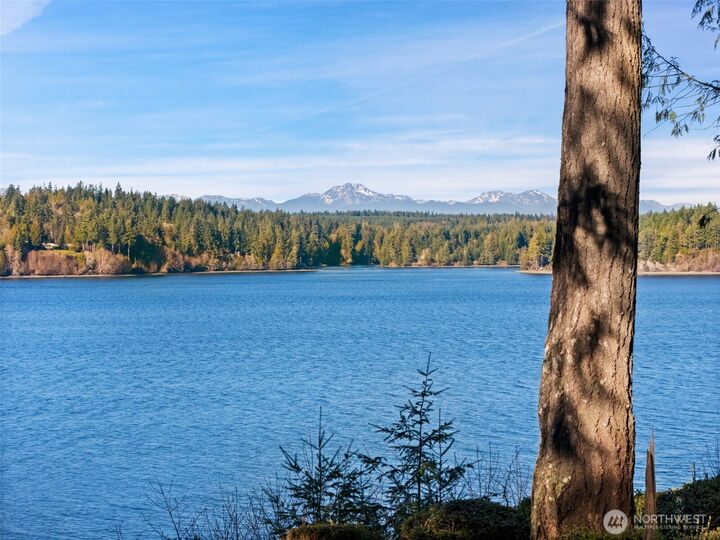Property Photo:  547 E Pointes Drive W  WA 98584 