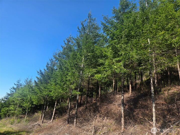 Property Photo:  7241 W Cloquallum Road  WA 98584 
