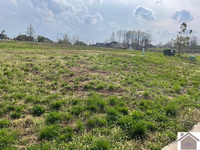 Property Photo: 185 Low Ridge Lane KY 42003