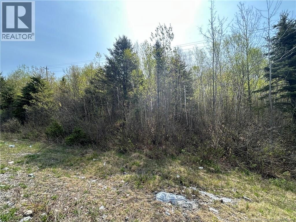 Property Photo:  Golden Grove Mountain  NB E2H 2X1 