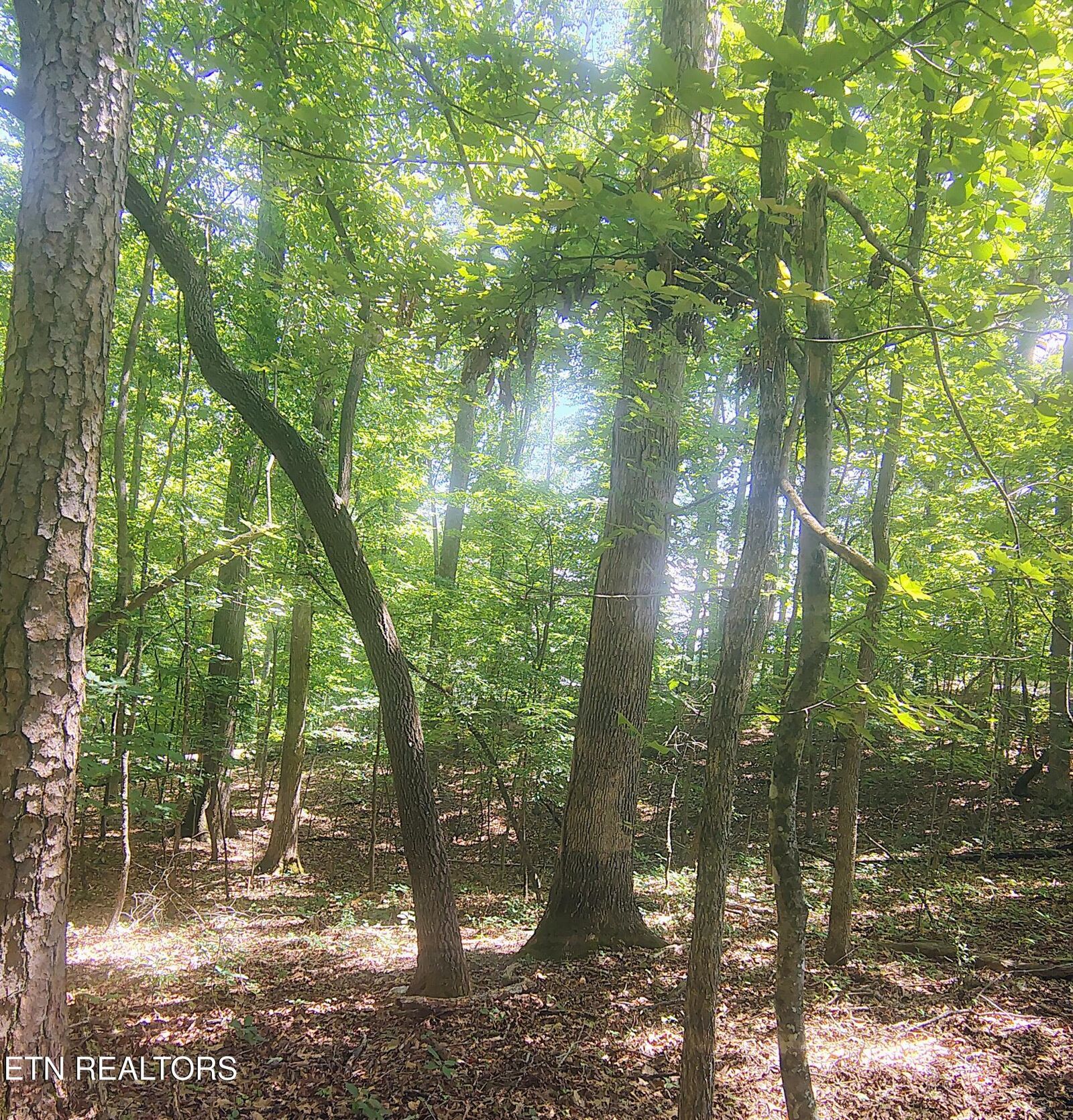 Property Photo:  138 Stooksbury Lane  TN 37705 