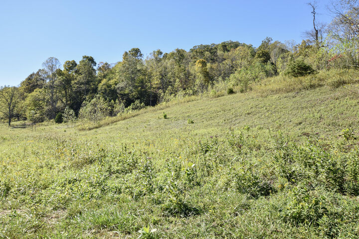 Property Photo:  601 Hackworth Hollow Road  KY 41179 