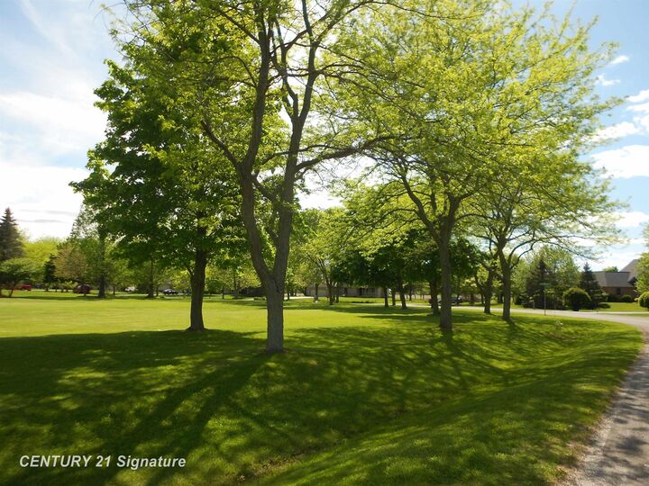 Property Photo:  N Sunningdale Street  MI 48604 
