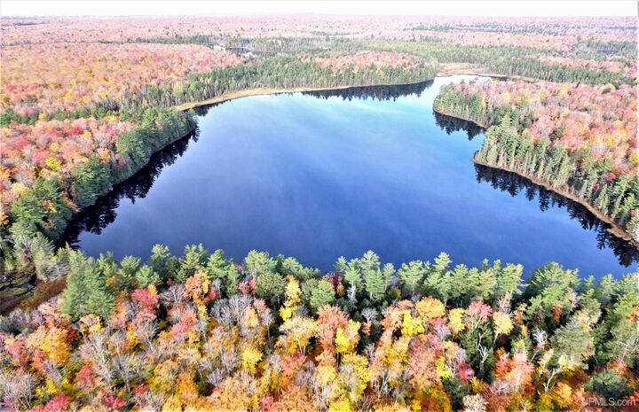 Property Photo: Xxx Nevins Lake Drive MI 49884