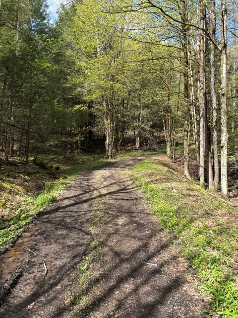 Property Photo:  00 Hill Hollow Drive  PA 16922 