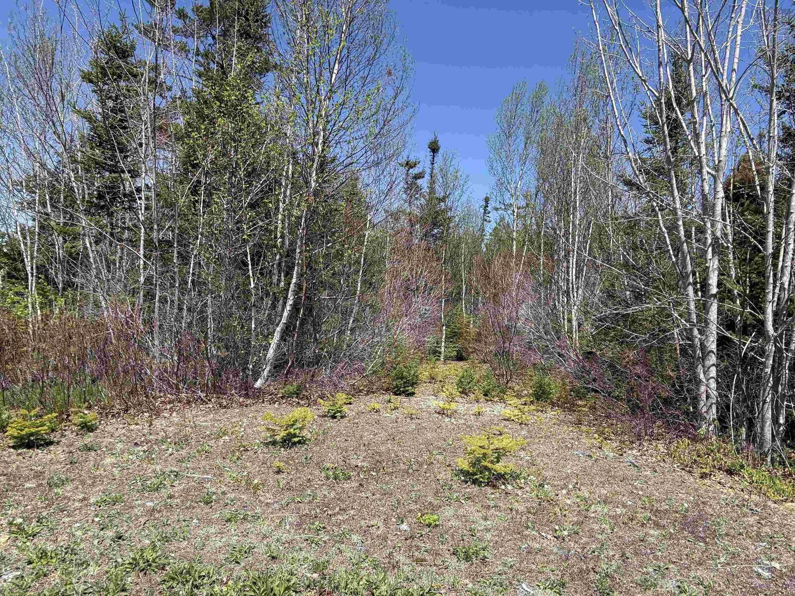 Property Photo:  Lot 22 Marble Mountain Road Road  NS B0E 2Y0 