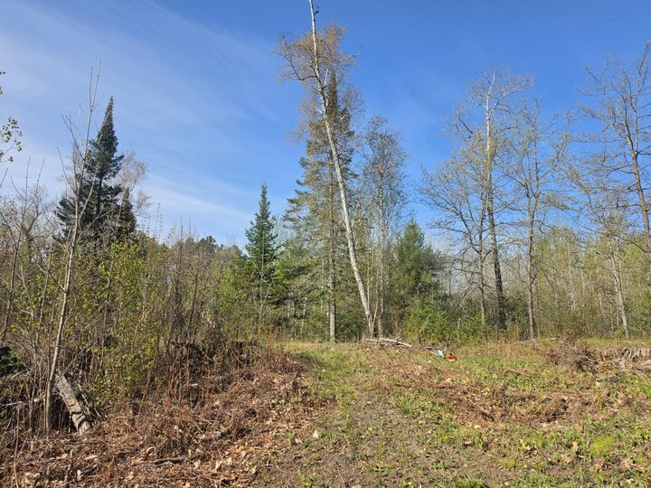 Property Photo: Tbd S Thunder Lake Drive NE MN 56672