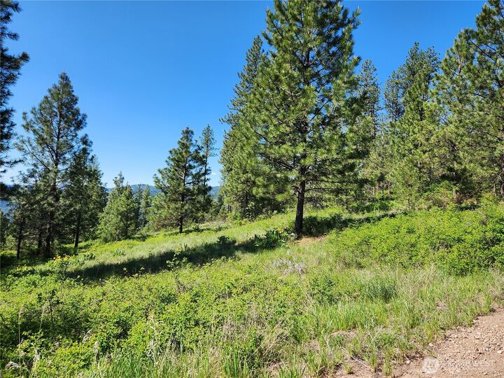Property Photo:  0  Gold Mountain Road  WA 99166 