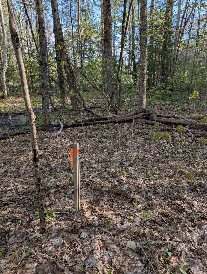 Property Photo:  0 Sugar Lake Road  ON P2A 2W9 