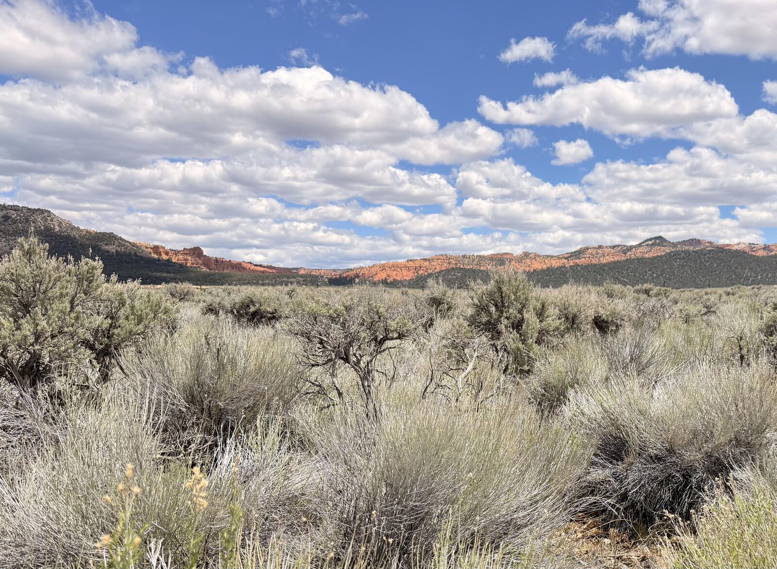 Property Photo:  4323 S Scenic Dr  UT 84759 