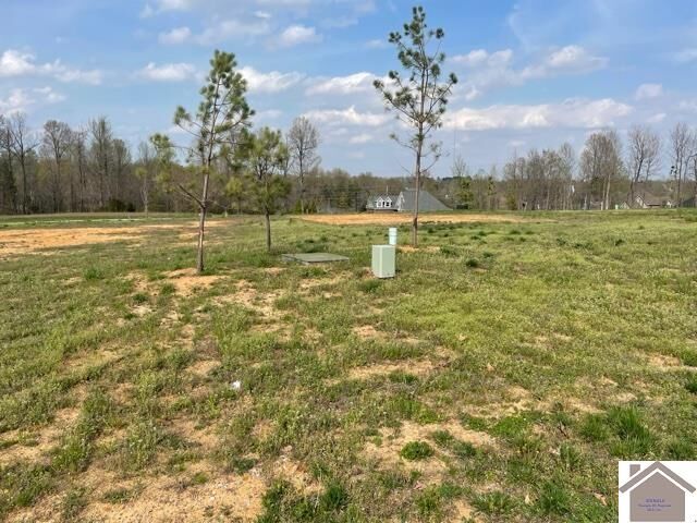Property Photo: 235 Falling Brook Dr KY 42003