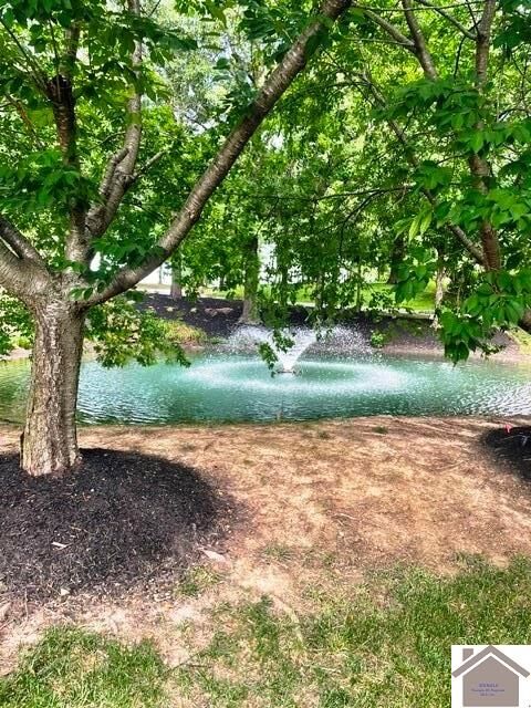 Property Photo: 235 Falling Brook Dr KY 42003
