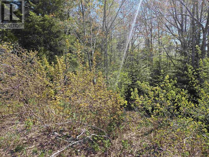 Property Photo:  720 Lucasville Road  NS B4B 1R9 