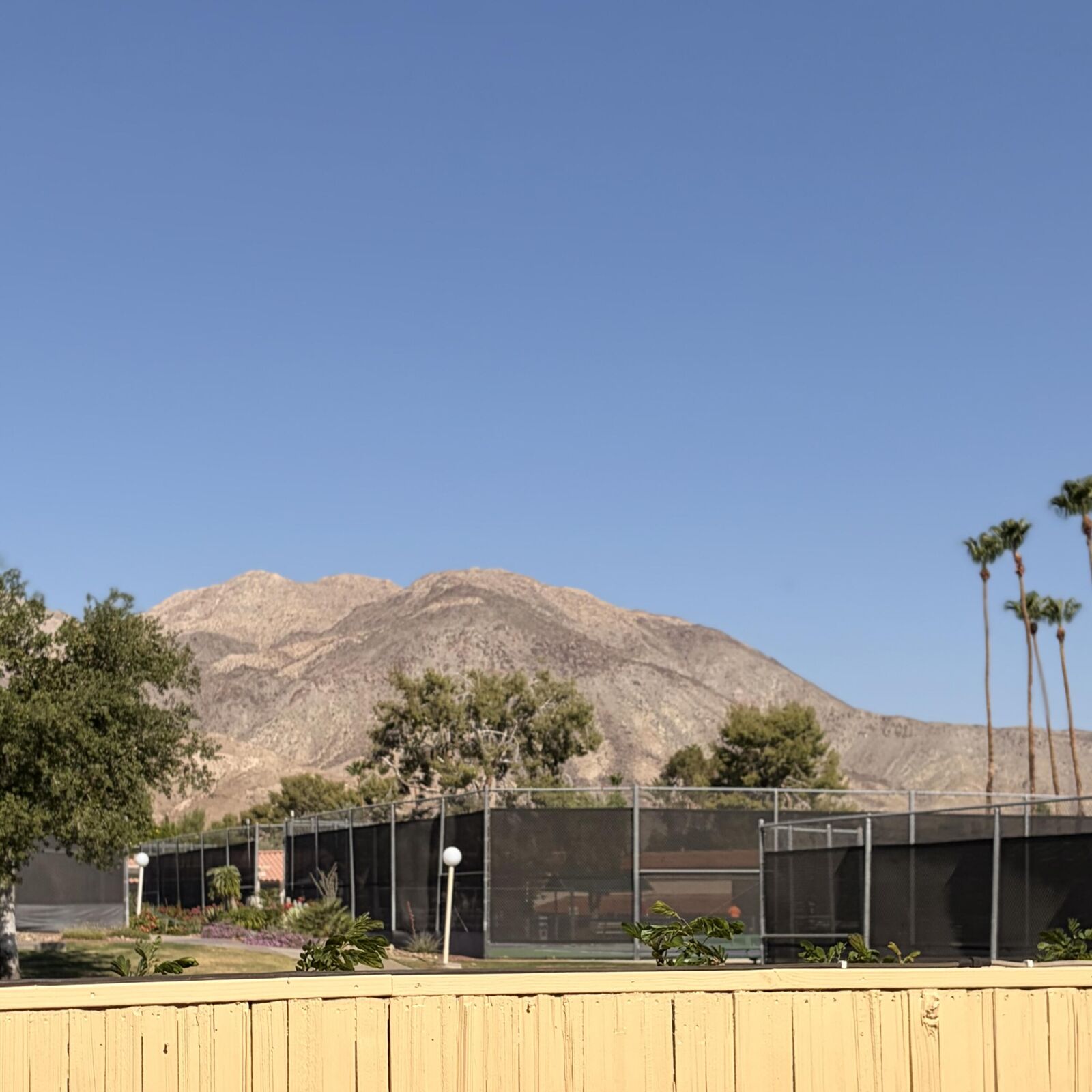 Property Photo:  73188 Bill Tilden Lane  CA 92260 