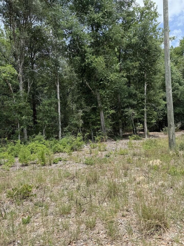 Property Photo: Tbd Christopher Lane FL 32539