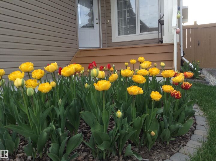Property Photo:  1330 114B Street SW  AB T6W 0G7 