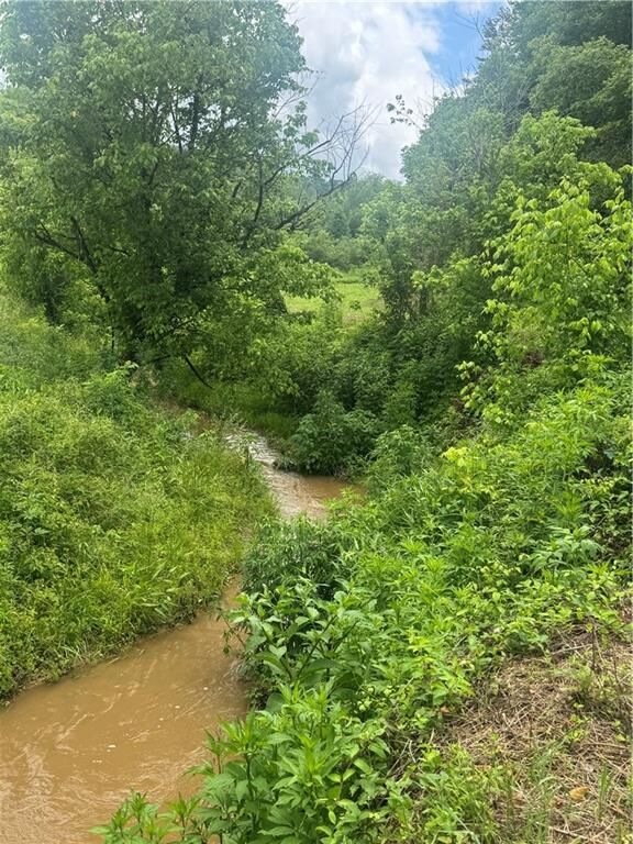 Property Photo:  00 Tails Creek Rd  GA 30540 