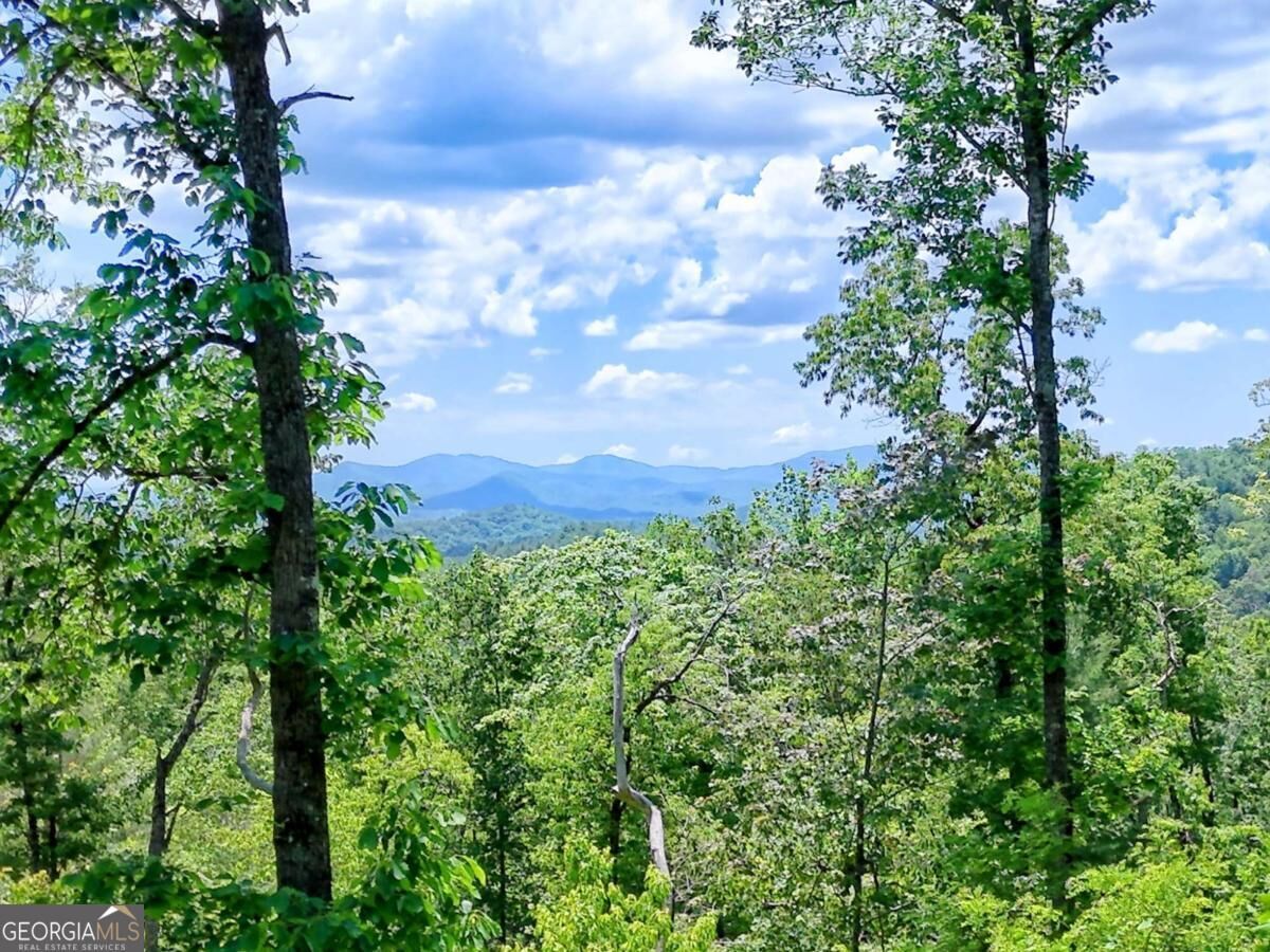 Property Photo:  Lot 28 Bryson Creek  NC 28906 